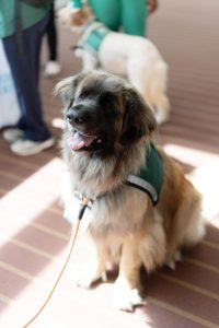 ©joeykennedyphoto-ERH-D1-B-0178